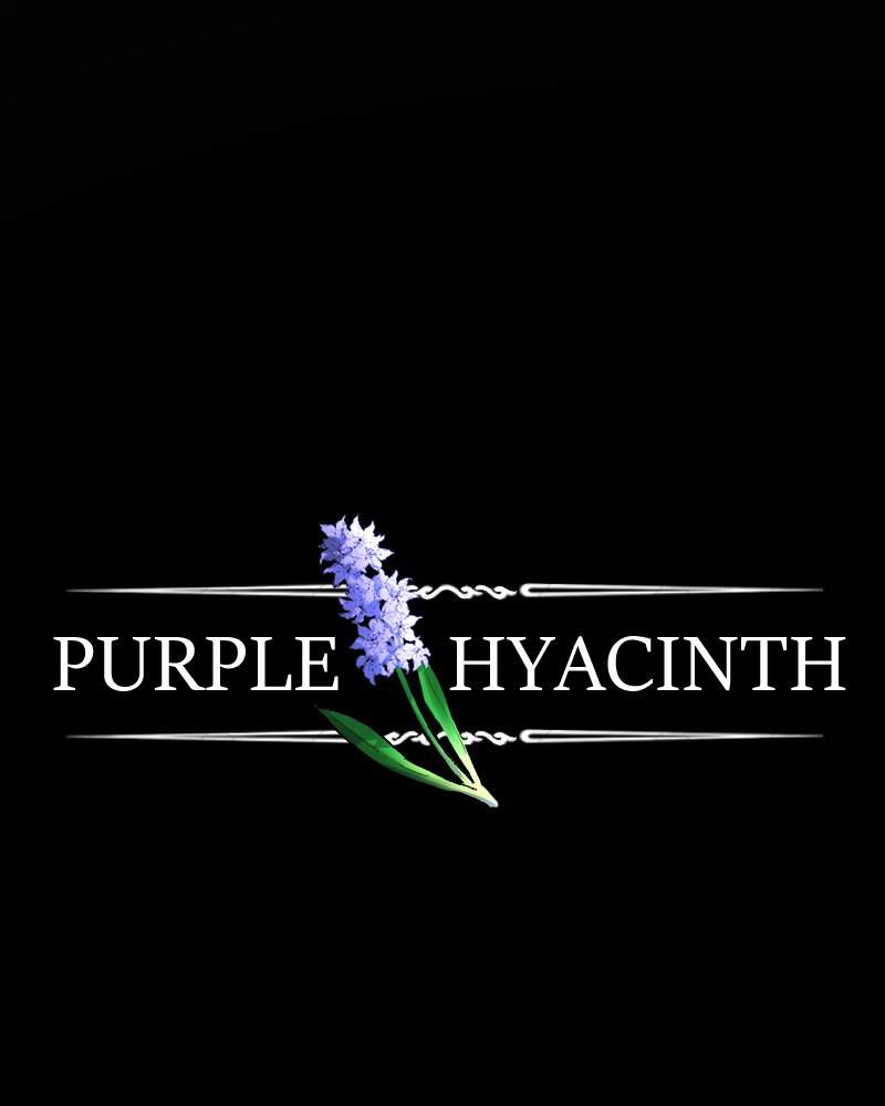 Purple Hyacinth Chapter 41 page 12