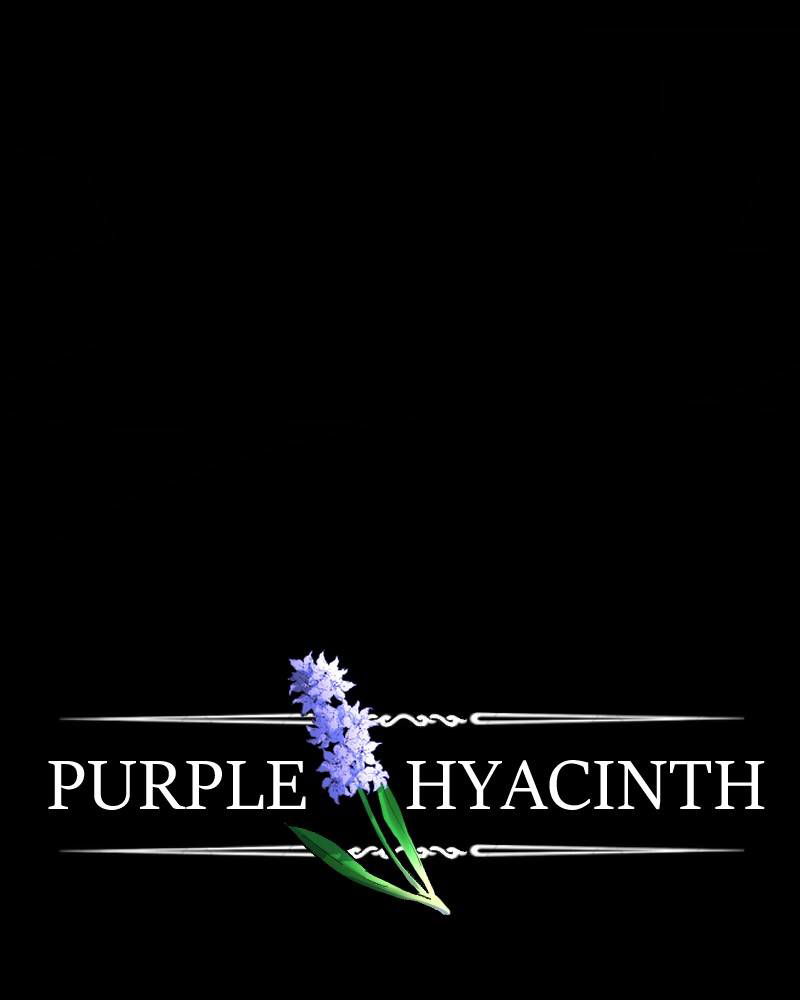 Purple Hyacinth Chapter 63 page 17