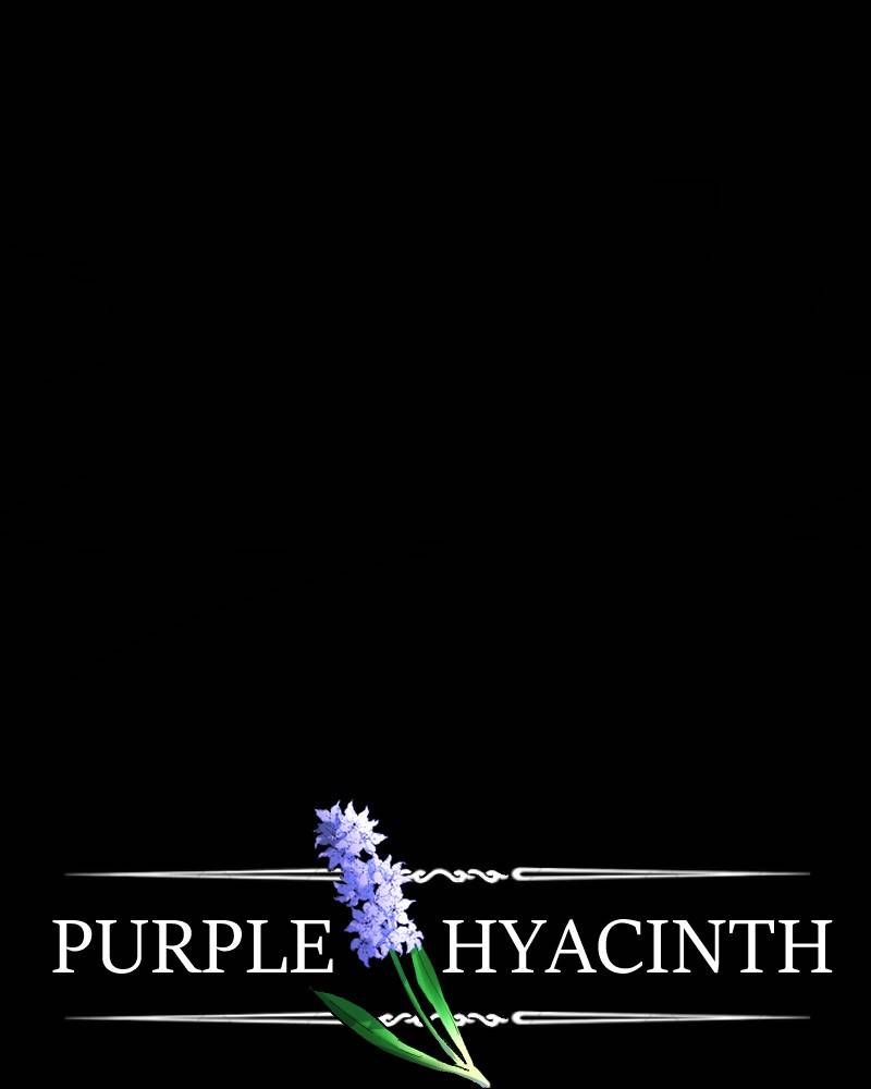 Purple Hyacinth Chapter 66 page 69