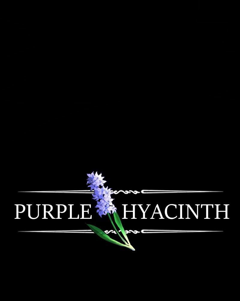 Purple Hyacinth Chapter 81 page 4