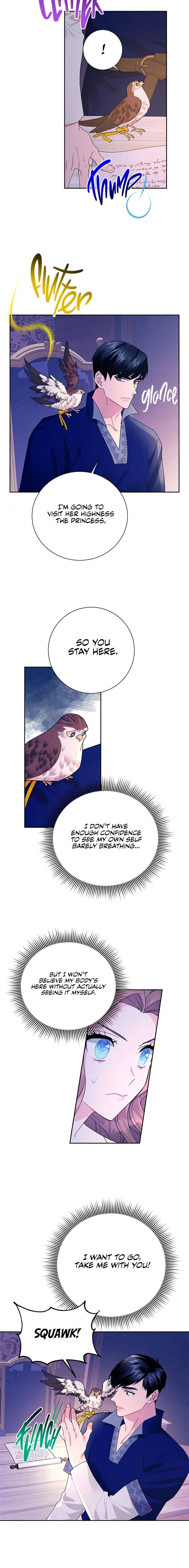 Carrier Falcon Princess Chapter 36 page 13