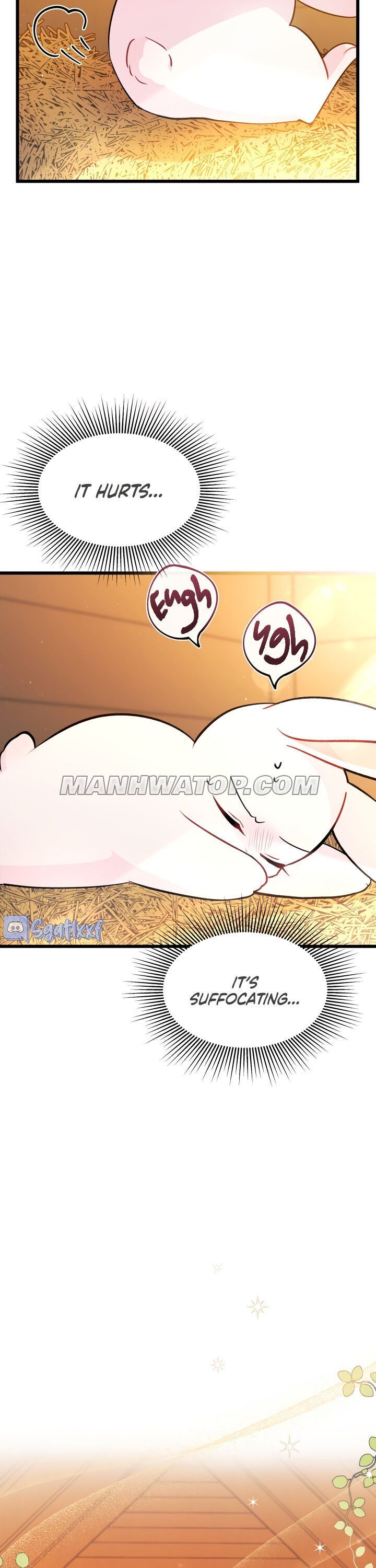 A Symbiotic Relationship Between A Rabbit And A Black Panther Chapter 28 page 4