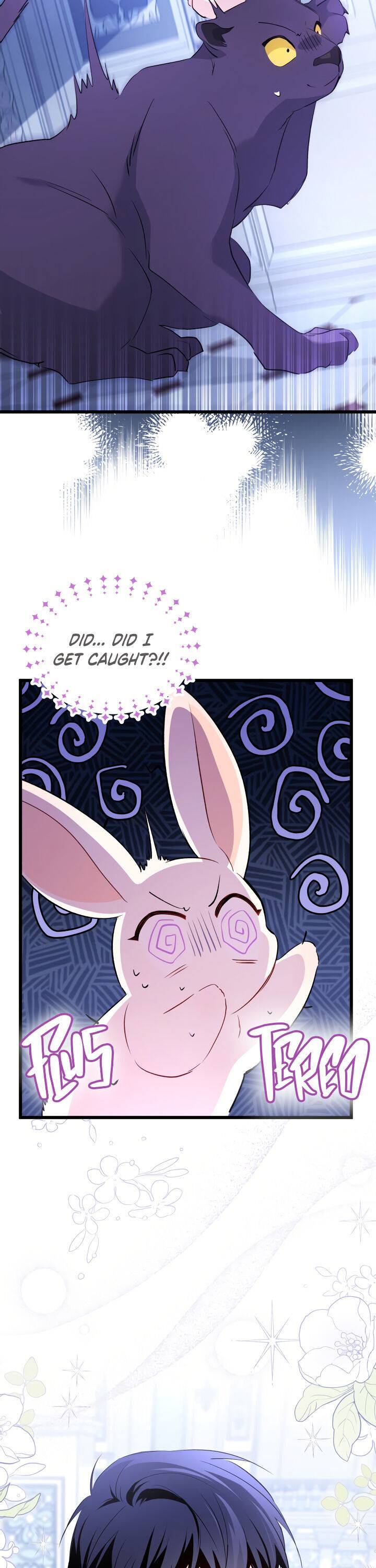 A Symbiotic Relationship Between A Rabbit And A Black Panther Chapter 45 page 24