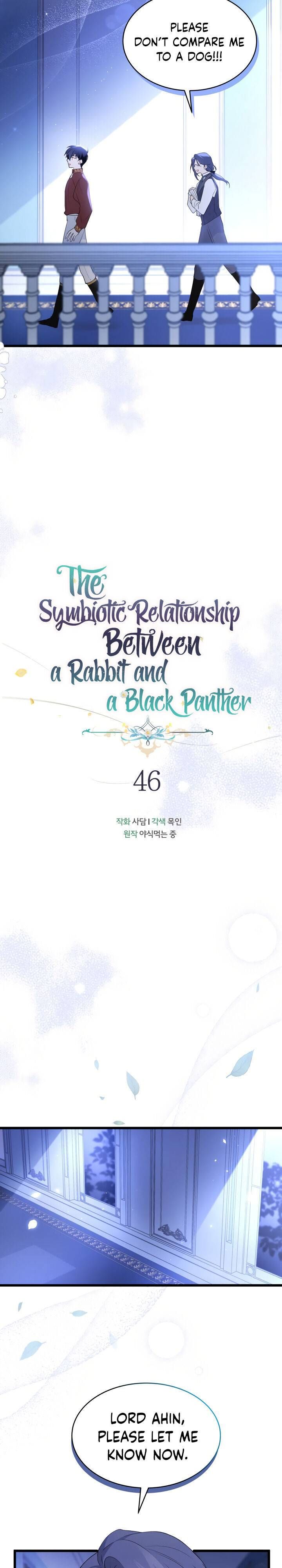 A Symbiotic Relationship Between A Rabbit And A Black Panther Chapter 46 page 5