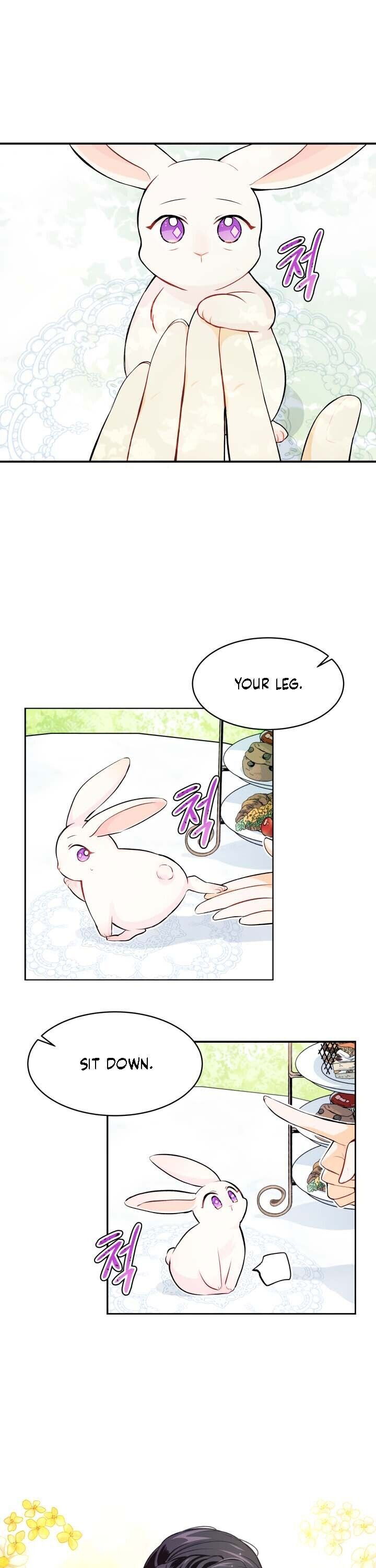 A Symbiotic Relationship Between A Rabbit And A Black Panther Chapter 5 page 6