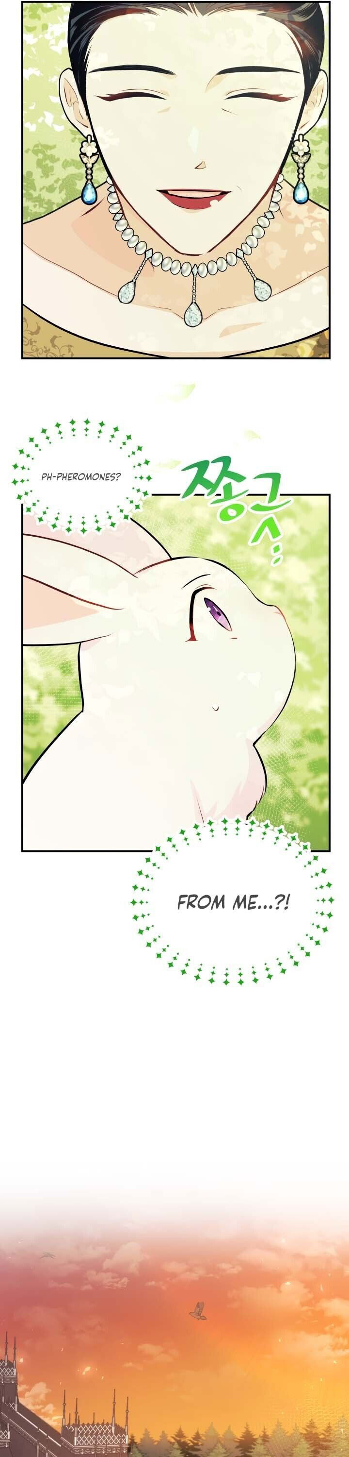 A Symbiotic Relationship Between A Rabbit And A Black Panther Chapter 5 page 12