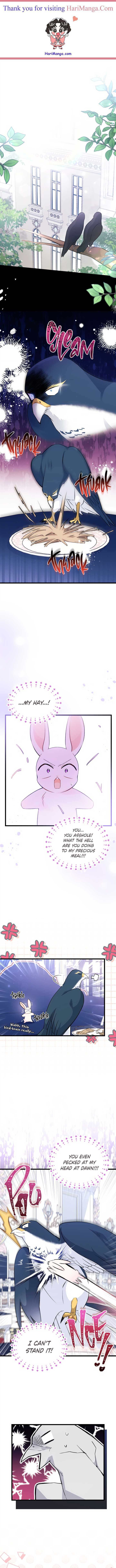 A Symbiotic Relationship Between A Rabbit And A Black Panther Chapter 55 page 1
