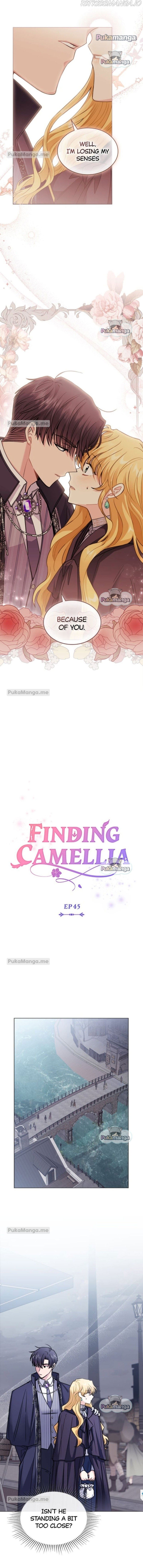 Finding Camellia Chapter 45 page 4