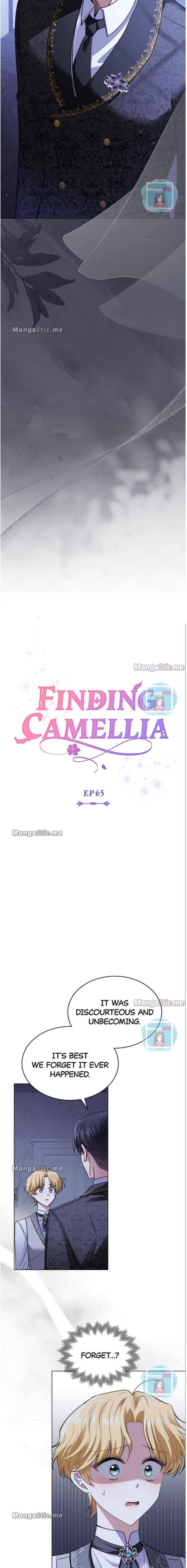 Finding Camellia Chapter 65 page 4