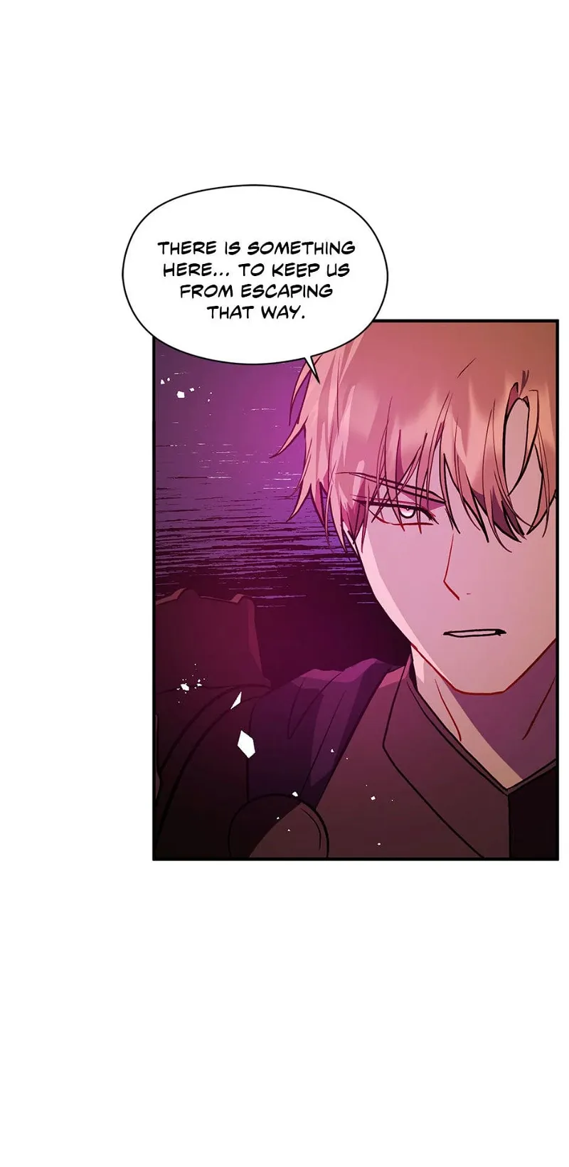 I Didn’t Mean To Seduce The Male Lead Chapter 56 page 85