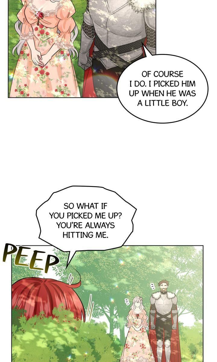 How to Get Rid of My Dark Past? Chapter 61 page 73
