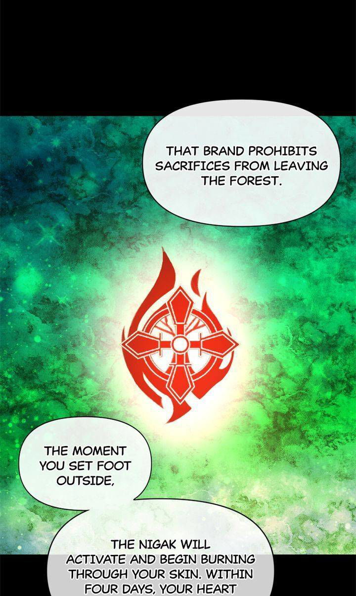 Golden Forest Chapter 30 page 53