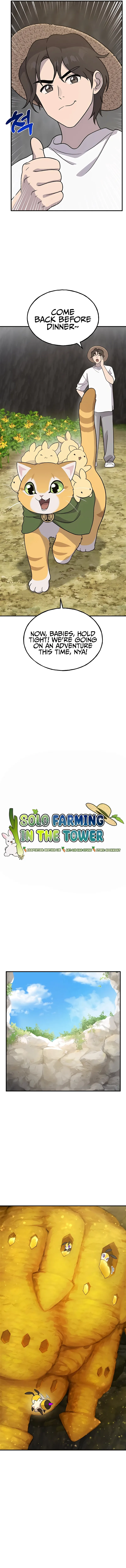 Solo Farming In The Tower Chapter 31 page 5