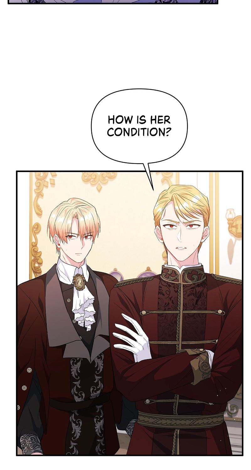 There Are Too Many Second Male Leads! Chapter 18 page 65