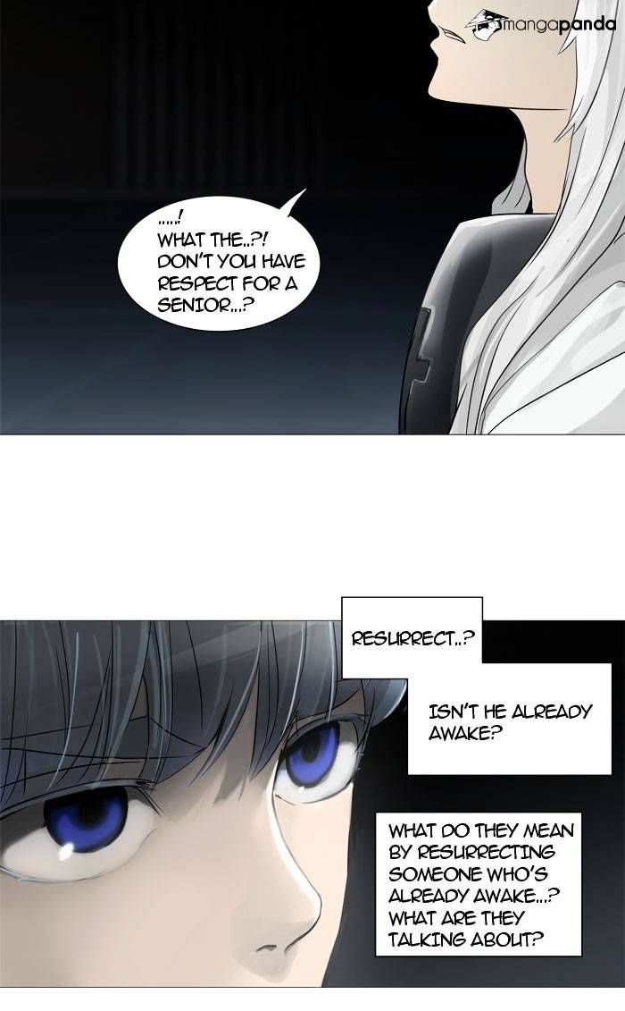 Tower of God Chapter 245 page 29