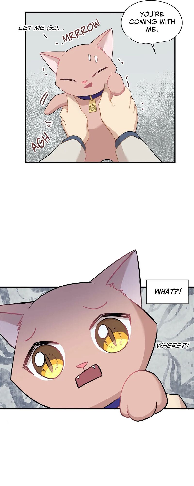 Just For A Meowment Chapter 21 page 20