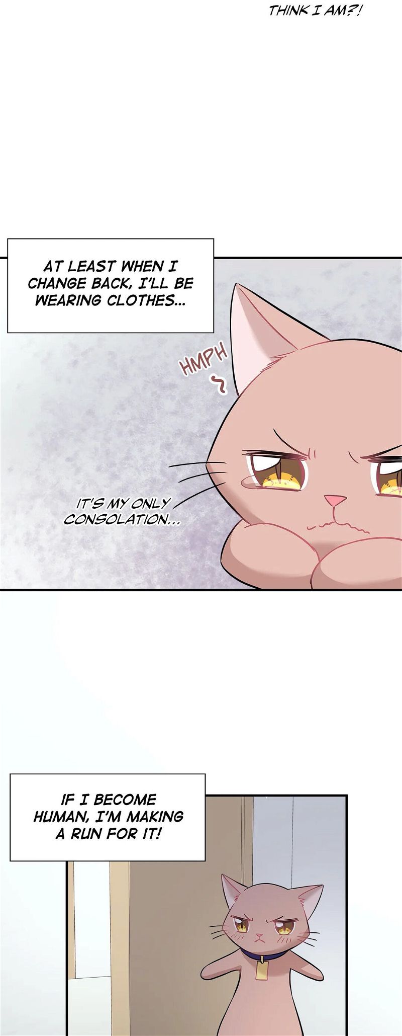 Just For A Meowment Chapter 22 page 14