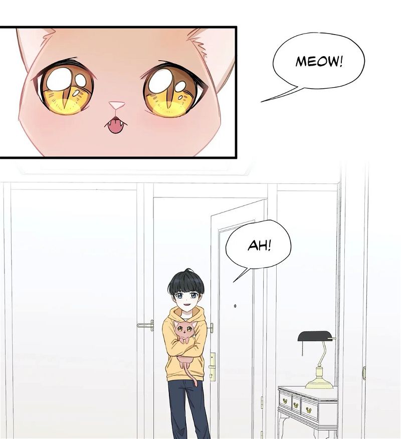 Just For A Meowment Chapter 4 page 29