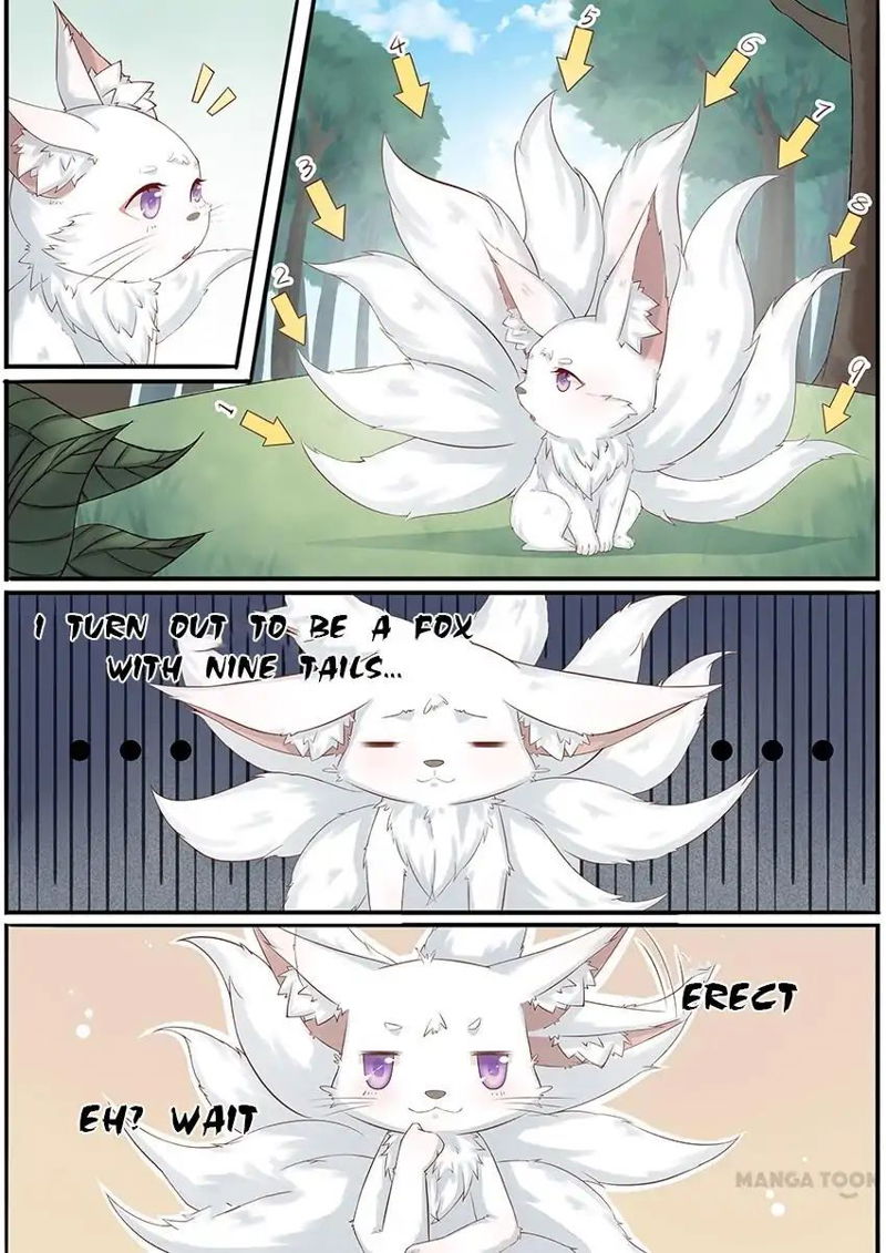 Crown Princess is a Fairy Fox! Chapter 1 page 5